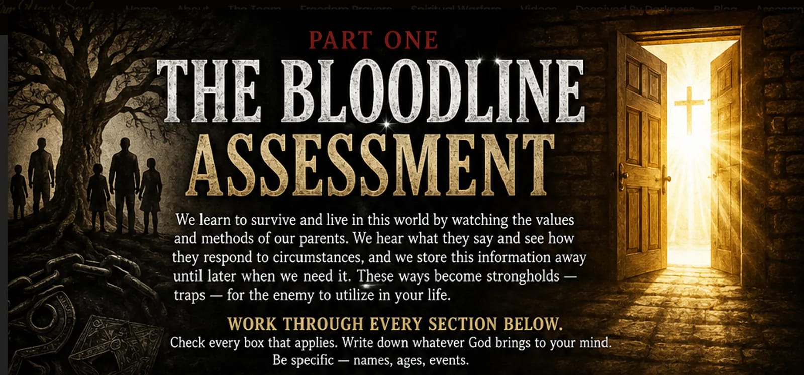 The Bloodline Assessment - Part One