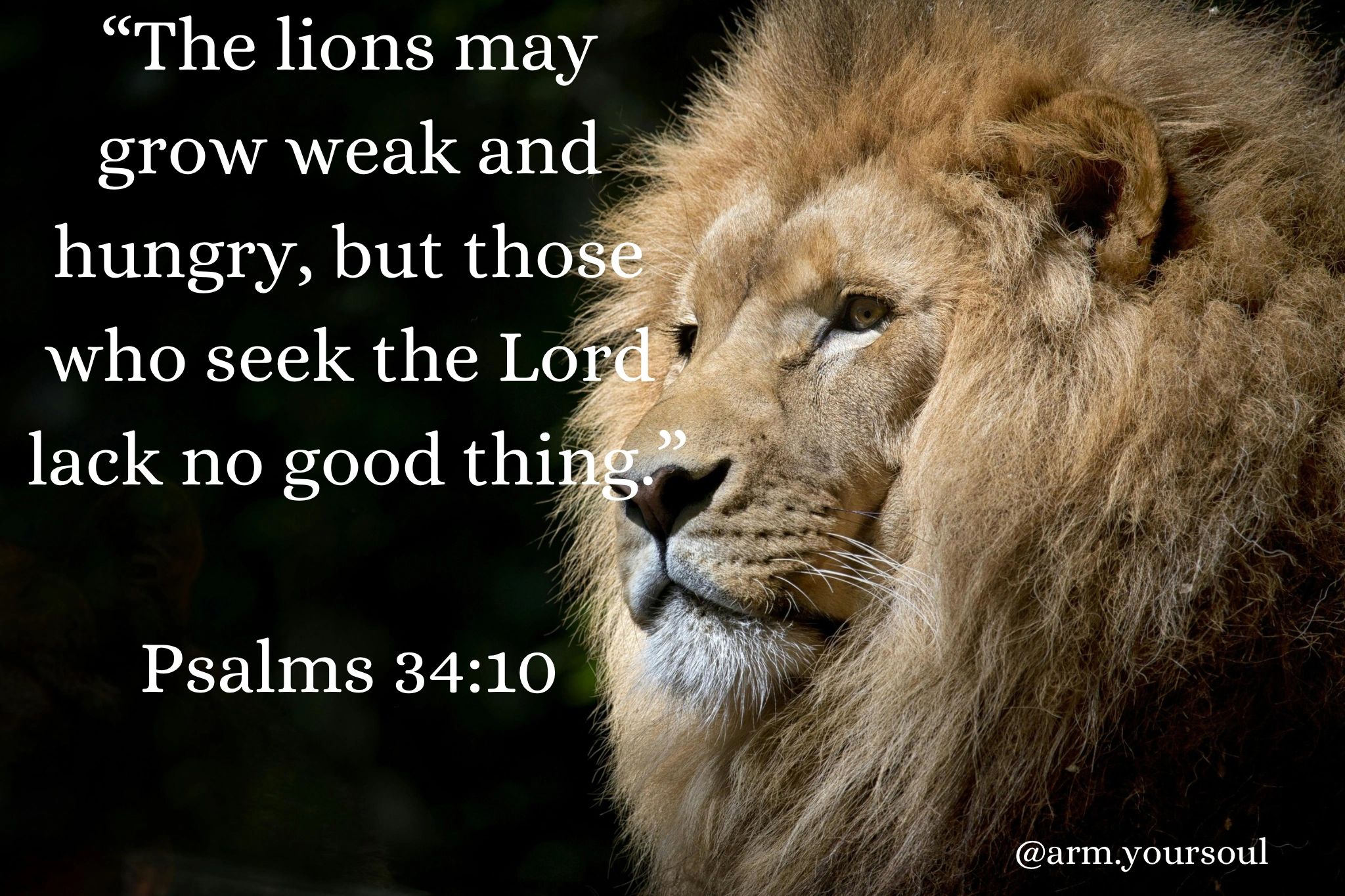 Psalms 34:10 - The lions may grow weak and hungry, but those who seek the LORD lack no good thing.